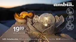 XXXLutz LED-Solarleuchte Angebot