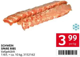 Schwein spare ribs