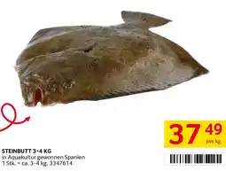 Transgourmet Steinbutt Angebot