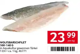 Transgourmet Wolfsbarschfilet Angebot