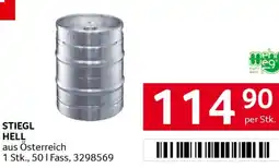 Transgourmet Stiegl hell Angebot