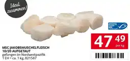 Transgourmet Msc jakobsmuschelfleisch 10/20 aufgetaut Angebot