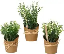 XXXLutz Kunstpflanze Angebot