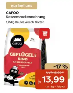 ZOO & Co Cafoo Katzentrockennahrung Angebot