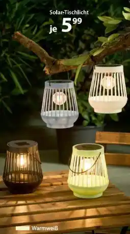 NKD Solar Tischlicht Angebot
