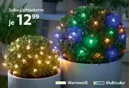 NKD Solar Lichterkette Angebot