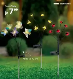 NKD Solar Stab Angebot