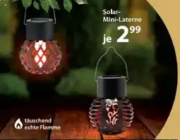 NKD Solar Mini Laterne Angebot