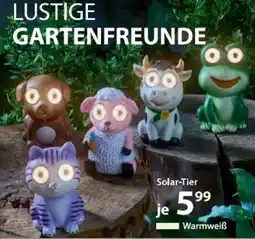 NKD Solar Tier Angebot