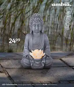 XXXLutz Led-solarleuchte Angebot