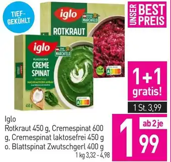 Sutterlüty Iglo rotkraut Angebot