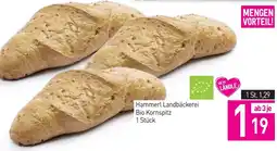 Sutterlüty Hammerl Landbäckerei Bio Kornspitz Angebot