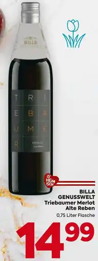 Billa Triebaumer Merlot Alte Reben Angebot