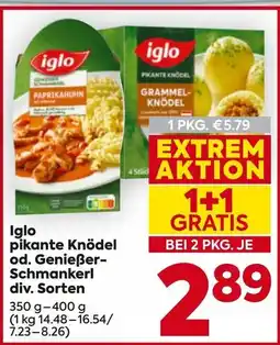 Billa pikante Knödel Angebot