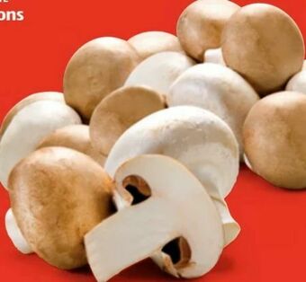 Hofer Champignons Angebot
