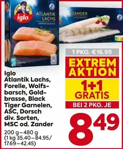 Billa Atlantik Lachs Forelle Wolfs barsch Gold brasse Black Tiger Garnelen ASC Dorsch Angebot