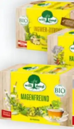 Billa Willi Dungl Bio-Tees Angebot