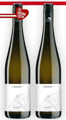 Billa Riedenkompass Grüner Veltliner Weinviertel Angebot