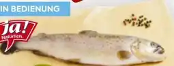 Billa ja!natürlich Bio-Bachforelle Angebot