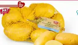 Billa ja!natürlich Bio-Salaterdäpfel Angebot