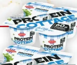 Billa Schärdinger Protein Cottage Cheese Angebot