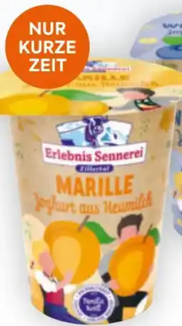 Billa Zillertaler Heumilch-Fruchtjoghurt Angebot