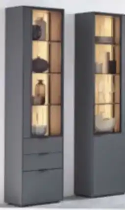 XXXLutz Dieter Knoll Vitrine Angebot