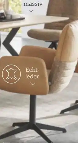 XXXLutz Dieter Knoll Armlehnstuhl Angebot