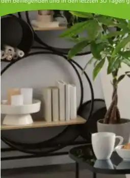 Mömax Premium Living Regal Circle Angebot