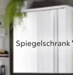 Mömax Spiegelschrank Roy II Angebot