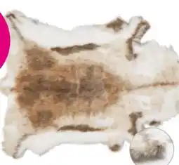 Mömax Kunstsfell Rudolf Angebot