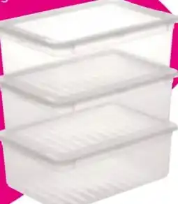 Mömax Aufbewahrungsboxen-Set Beate Angebot