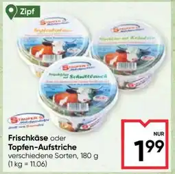 Maximarkt Frischkäse oder Topfen-Aufstriche Angebot
