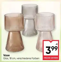Maximarkt Vase Angebot