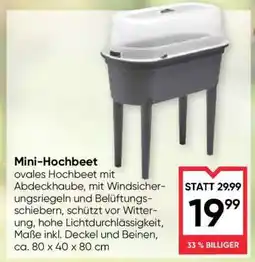 Maximarkt Mini-/Hochbeet Angebot