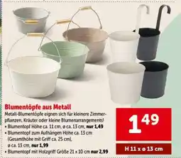 Interspar Blumentopf Angebot