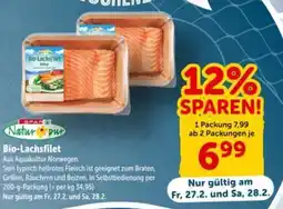 Interspar Bio Lachsfilet Angebot