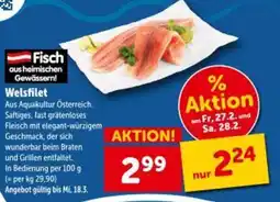 Interspar Welsfilet Angebot