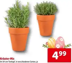Interspar Kräuter-Mix Angebot