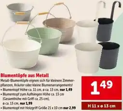 Interspar Blumentöpfe aus Metall Angebot
