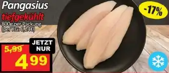 Pangasius tiefgekühlt