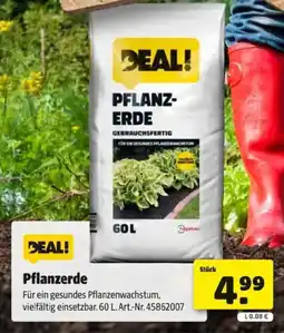 Hagebau Pflanzerde Angebot