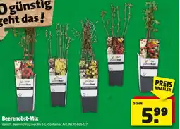 Hagebau Beerenobst Mix Angebot