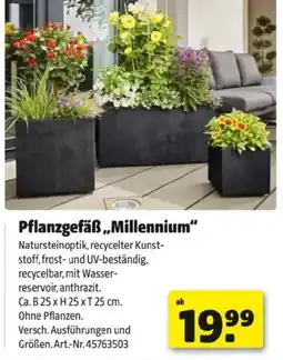 Hagebau Pflanzgefäß Millennium Angebot