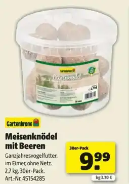 Hagebau Meisenknödel mit Beeren Angebot
