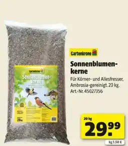 Hagebau Sonnenblumen kerne Angebot