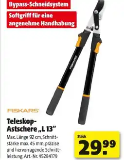 Hagebau Teleskop Astschere L 13 Angebot