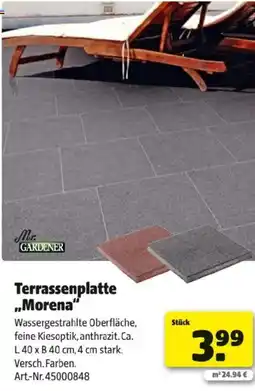 Hagebau Terrassenplatte Morena Angebot
