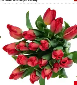 Interspar Tulpensträuße Angebot