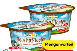 Eurospar Spar Natur pur Bio-Schaf-Topfen Angebot